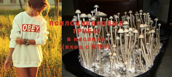 PSILOCYBIN Осташков