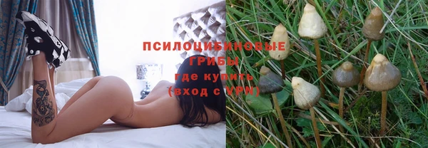 бошки Кукмор