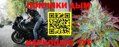 шишки Моздок