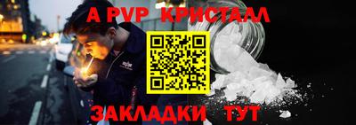 шишки Моздок